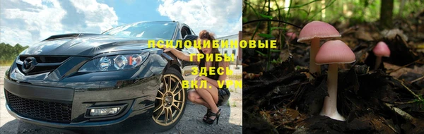 таблы Алексин
