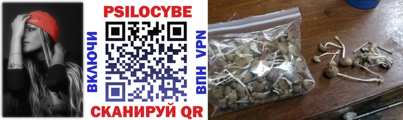 наркошоп  Нижние Серги  Псилоцибиновые грибы прущие грибы 